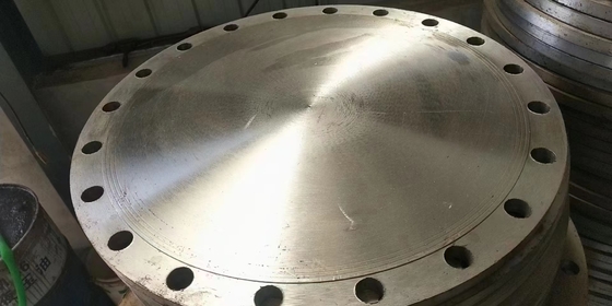 Il collo a 72 pollici della saldatura ha sollevato la prova della ruggine della flangia 310S 316LN 317L del fronte lubrificata