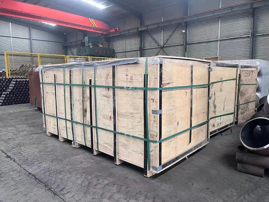 L'ANSI B16.5 B16.47 NPT di 400LBS 600LBS ha infilato il CS A105 della flangia